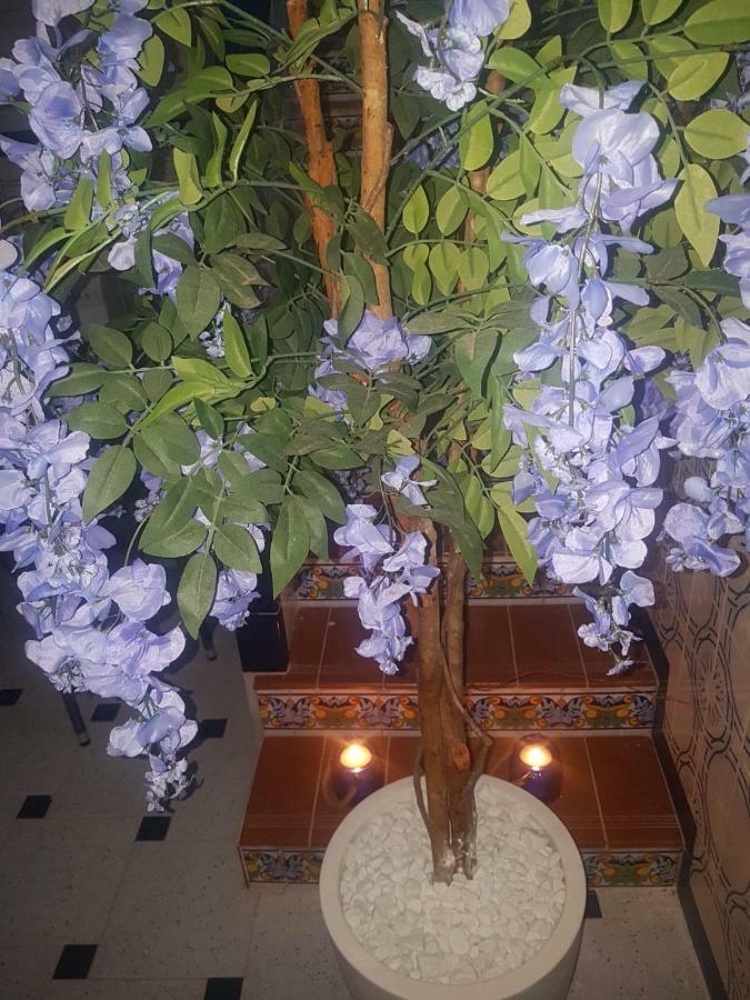 Big Apartment With Unique Patio Near Santa Barbara Castle 阿利坎特 外观 照片