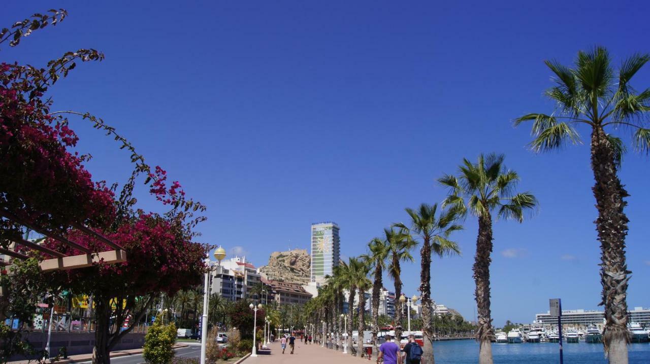 Big Apartment With Unique Patio Near Santa Barbara Castle 阿利坎特 外观 照片